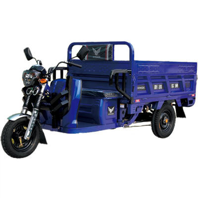 XINGE 1200W सुपर पावर इलेक्ट्रिक कार्गो मोटरसाइकिल
