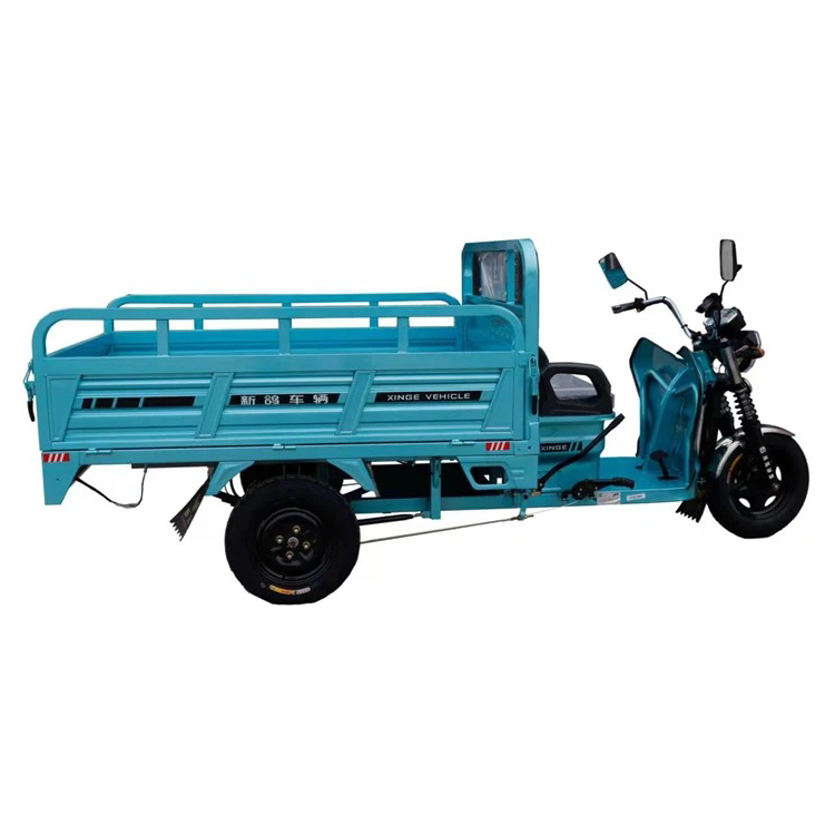 XINGE 1200W सुपर पावर इलेक्ट्रिक कार्गो मोटरसाइकिल